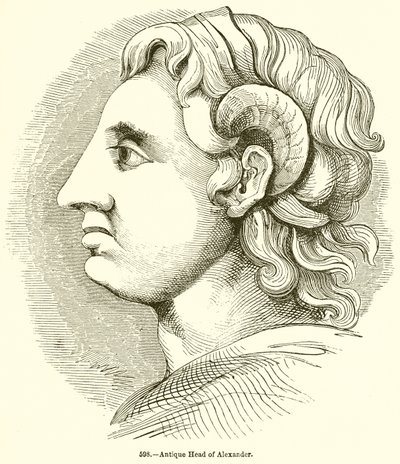 Antique Head of Alexander by English School