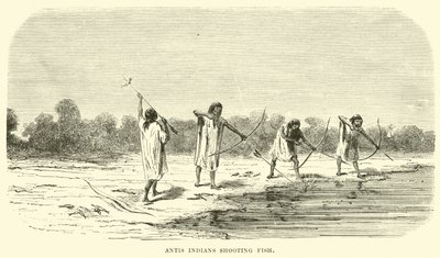 Antis Indians shooting fish by English School