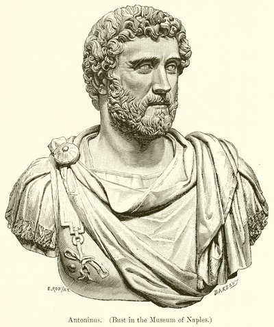 Antoninus (Bust in the Museum of Naples) by English School