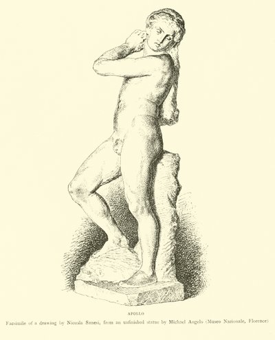 Apollo by English School