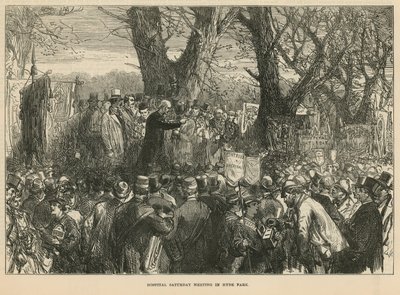 Archbishop Manning addressing the meeting in Hyde Park by English School