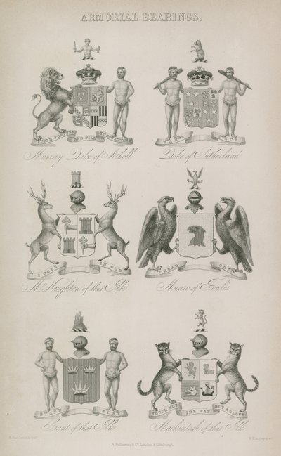 Armorial Bearings by English School