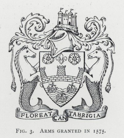 Arms granted in 1575 by English School