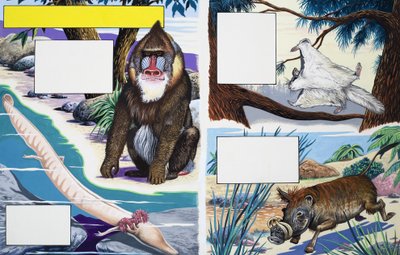 Assorted animals by English School