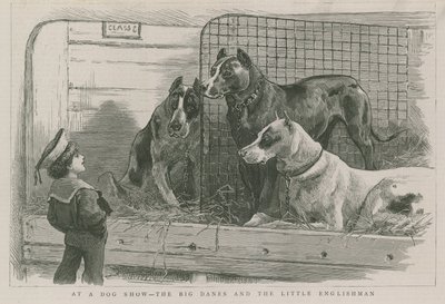 At a Dog Show - The Great Danes and the Little Englishman by English School