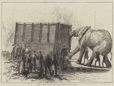 Attempt to Remove Jumbo, the Great Elephant, from the Zoological Gardens by English School