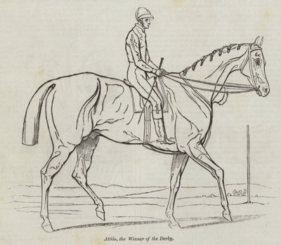Attila, the Winner of the Derby by English School