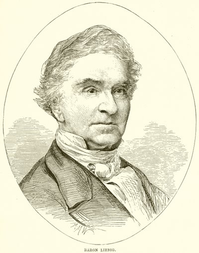 Baron Liebig by English School