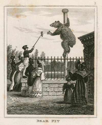 Bear Pit, London Zoological Gardens, Regents Park by English School