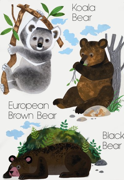 Bears by English School