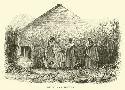 Bechuana Women by English School
