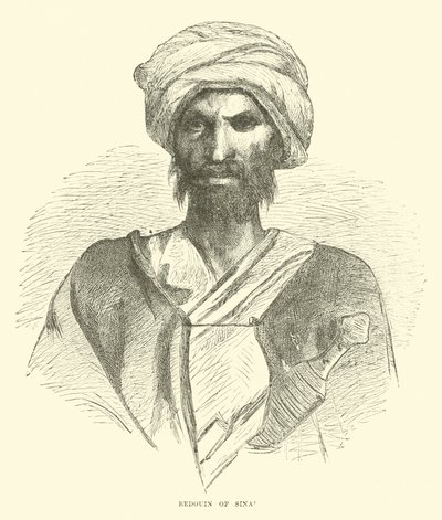 Bedouin of Sinai by English School