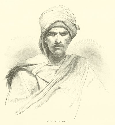 Bedouin of Sinai by English School
