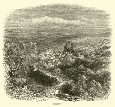 Bethany by English School