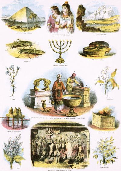 Biblical Illustrations by English School
