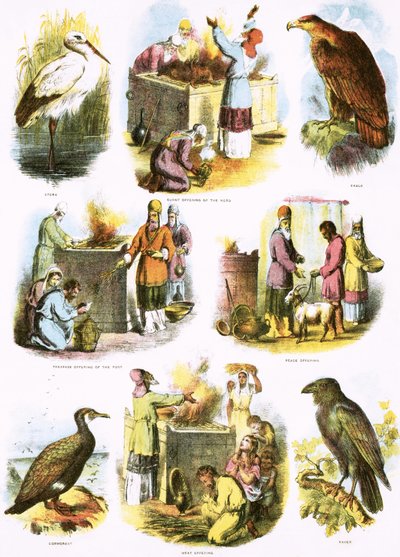 Biblical Illustrations by English School