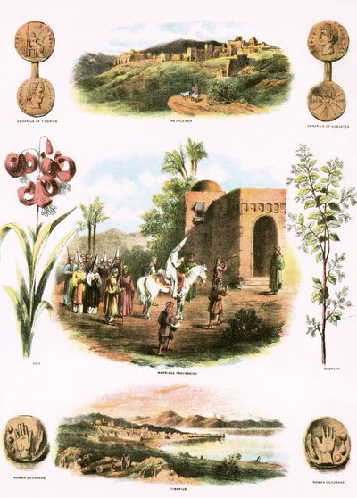 Biblical Illustrations by English School