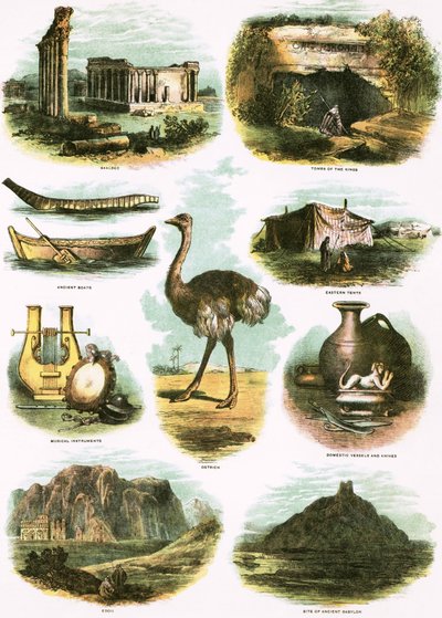 Biblical Illustrations by English School