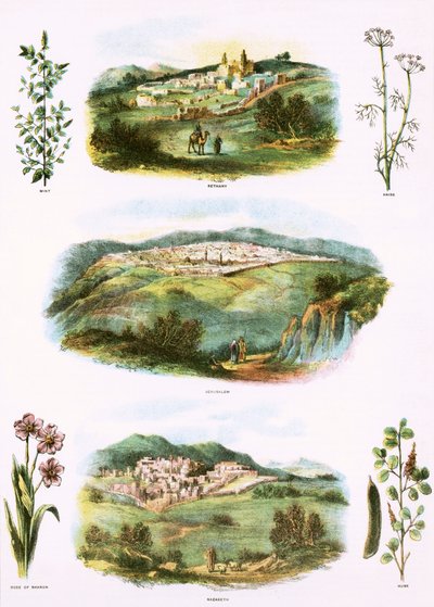 Biblical Illustrations by English School