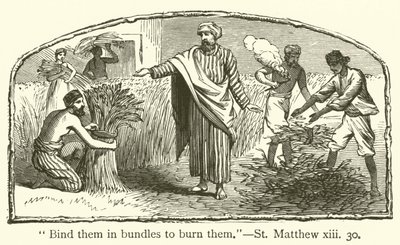 Bind them in bundles to burn them, St Matthew, xiii, 30 by English School
