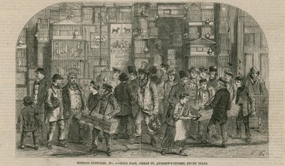 Bird Fair, Great St Andrews Street, Seven Dials, London by English School