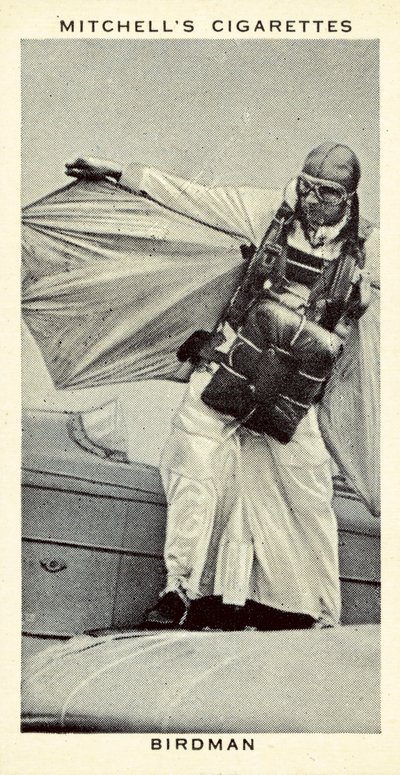 Birdman by English School