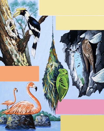 Birds montage by English School