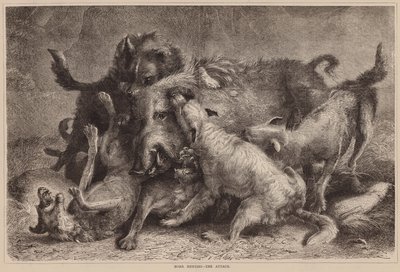 Boar Hunting, The Attack by English School