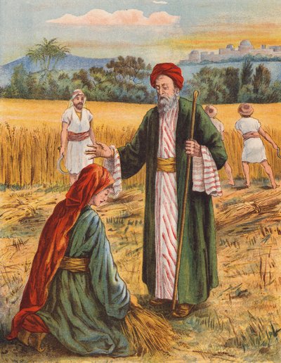 Boaz and Ruth in the Harvest Field by English School