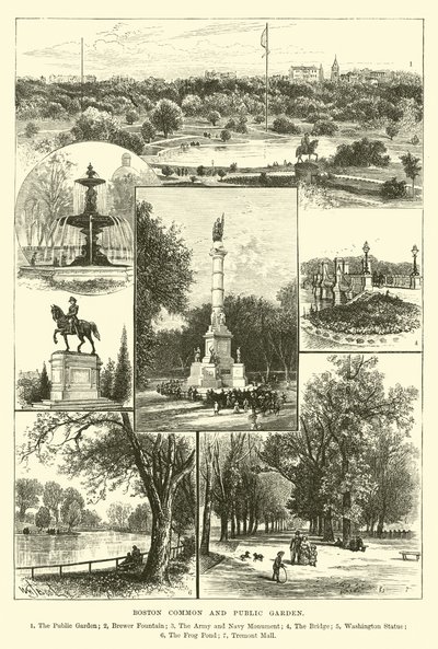 Boston Common and Public Garden by English School