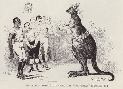 Boxing kangaroo by English School