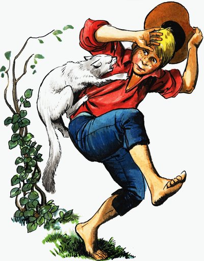 Boy Attacked by Cat by English School
