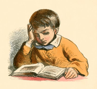 Boy Reading by English School