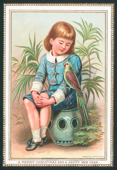 Boy sitting with exotic bird on arm by English School