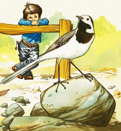 Boy Watching an Unidentified Bird by English School