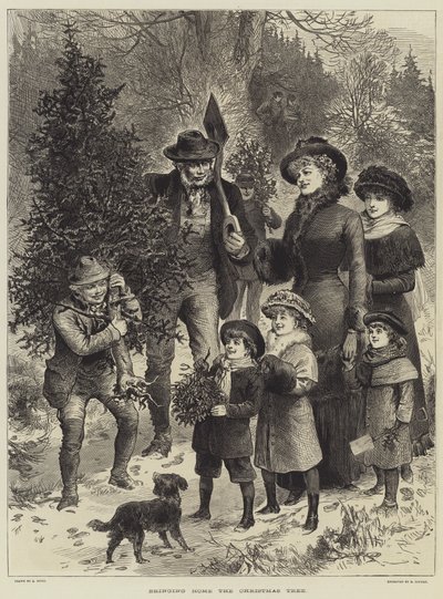 Bringing Home The Christmas Tree by English School