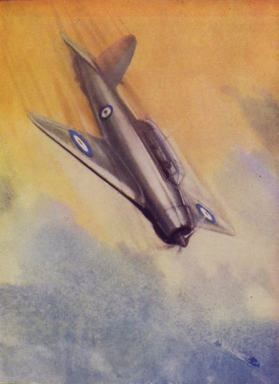 British Blackburn Skua dive bomber of the Fleet Air Arm by English School
