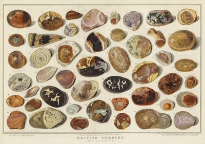 British Pebbles by English School