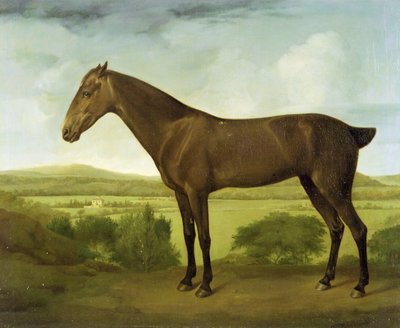 Brown Horse in a Hilly Landscape by English School