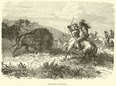 Buffalo hunting by English School