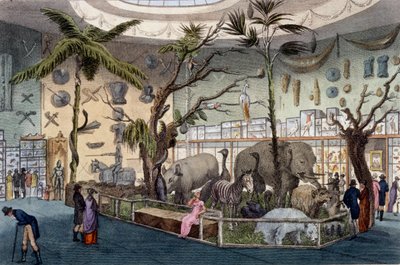 Bullocks Museum, 22 Piccadilly, London, from Ackermann