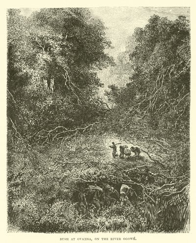 Bush at Ovamba, on the River Ogowe by English School