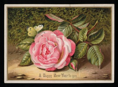 Butterfly with a Pink Rose, New Year