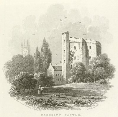 Caerdiff Castle by English School