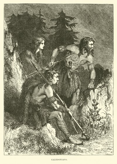 Caledonians by English School