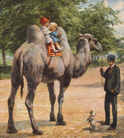 Camel by English School