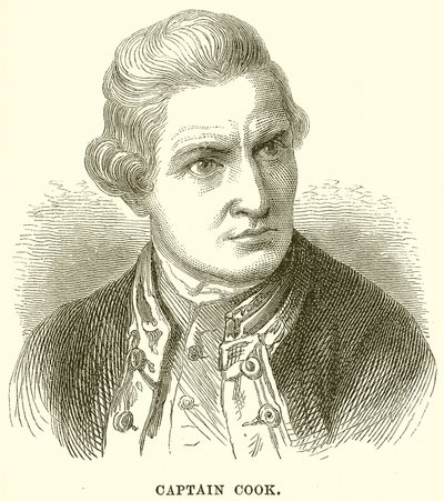 Captain Cook by English School