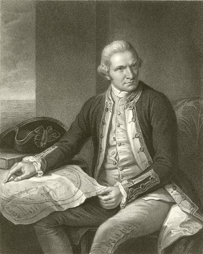 Captain James Cook by English School