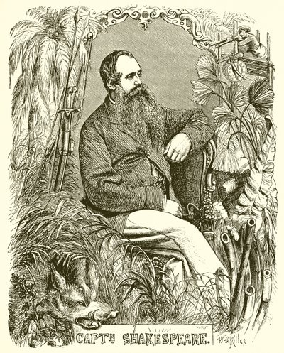 Captain Shakespeare by English School