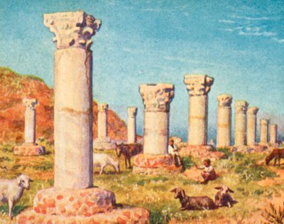 Carthage, Basilica of St Cyprian by English School